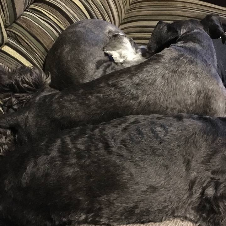 Fd53ae82 50b0 4282 ad0c 044cb07974b9