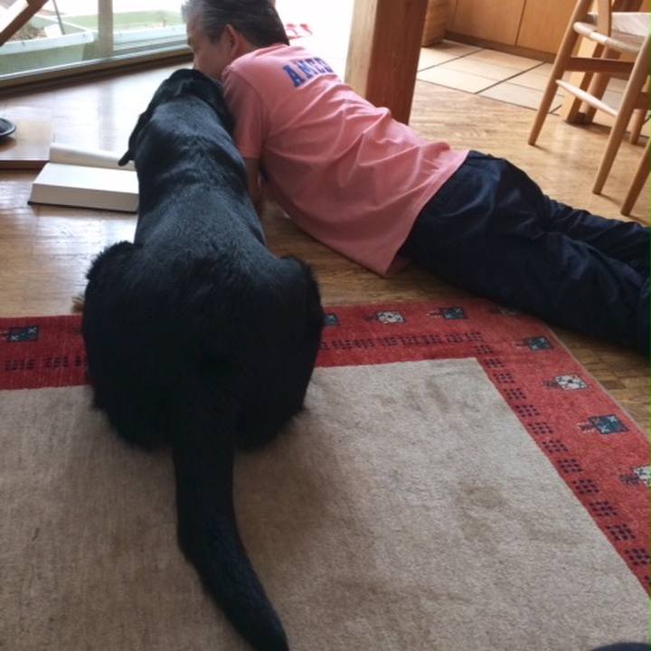 Fd541f05 68b7 43fe 865b 842c6c5fc695