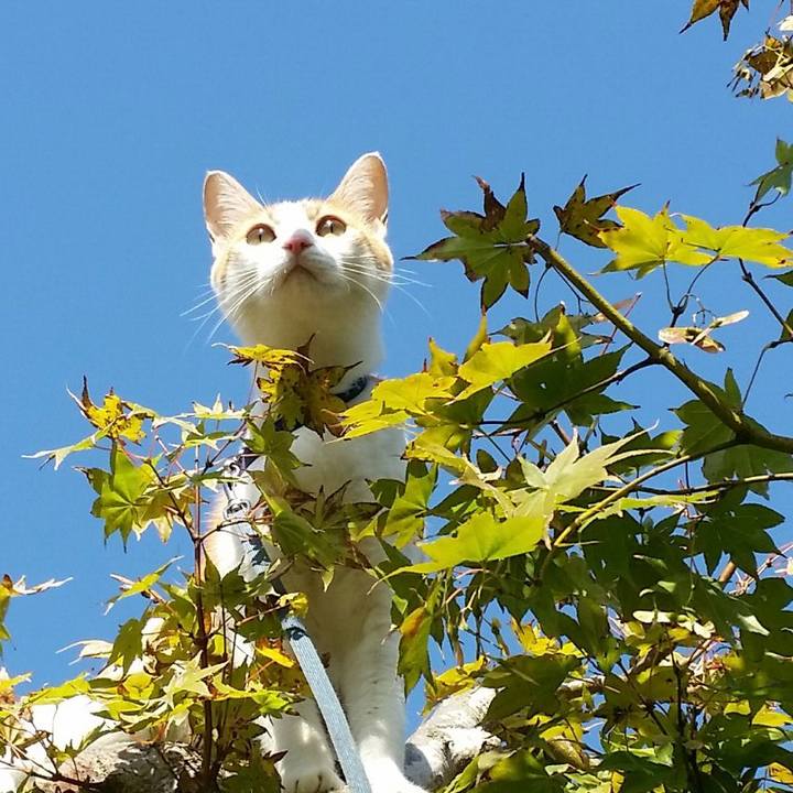 Fd553dfe 5d12 4a3b 83d9 b69cb858ca99