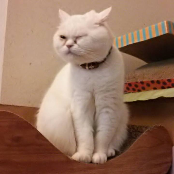 Fd556eaa 08cc 4845 b38f 964aee519810