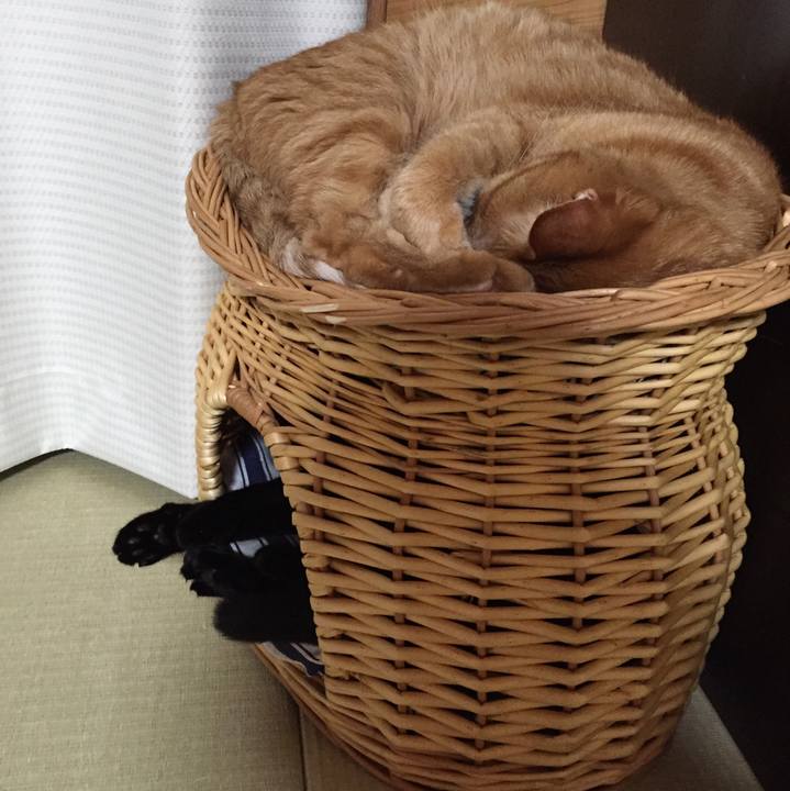 Fd5575d6 1844 48ef 91bd 85800cc91298