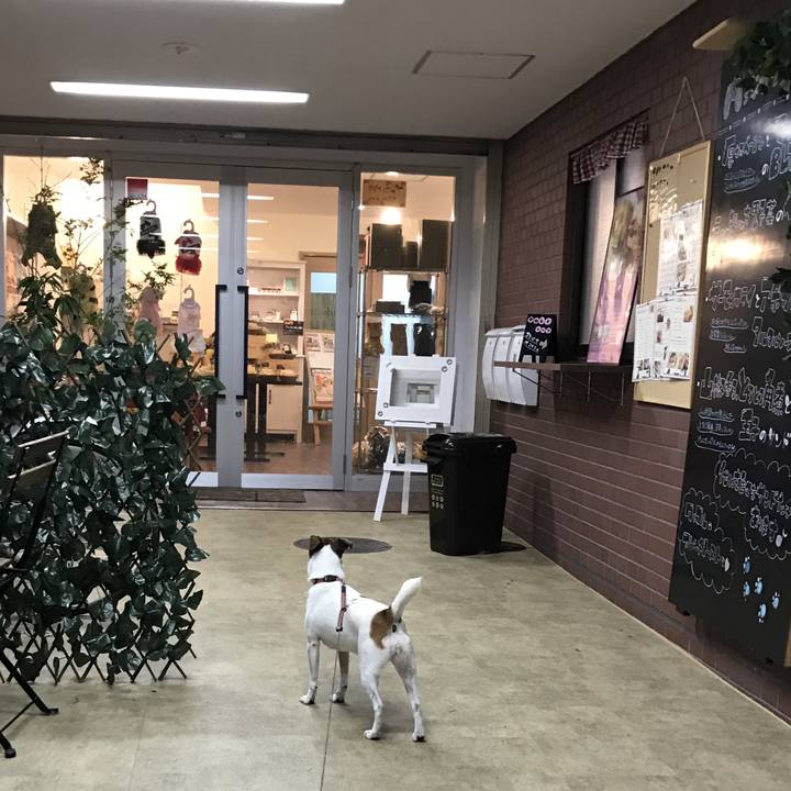 Fd5616a9 f3c5 4580 9a19 21043e6008ef