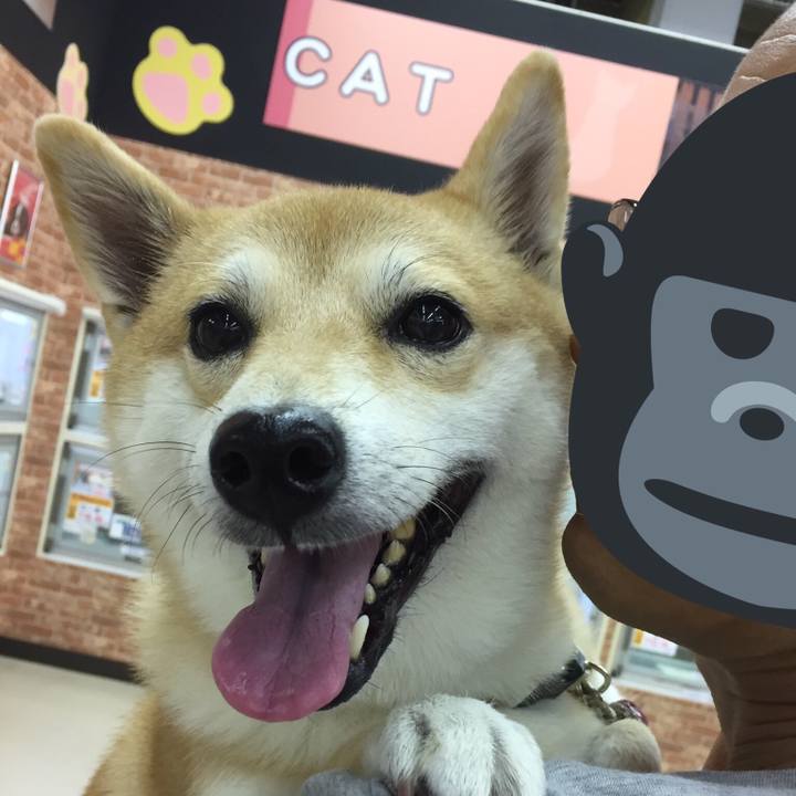 Fd565fcc 3eed 4860 b94a 3ac8b21ec7cf