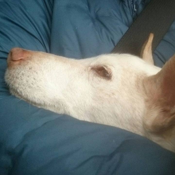 Fd56dec9 5168 43a6 9811 a6b60fe58566