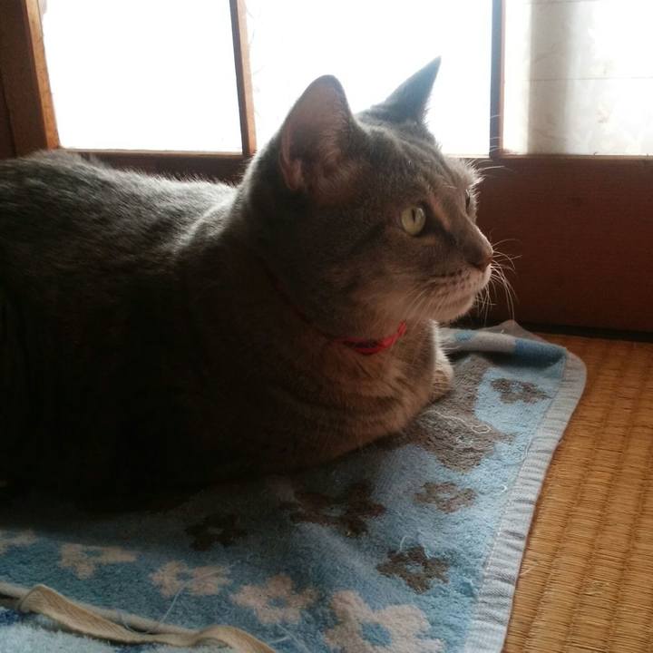 Fd574b48 22b4 4a10 b987 6d4f0cc94a4c