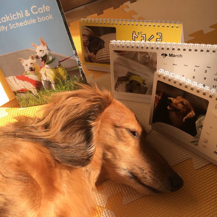 Fd5773cb 460f 4069 be09 89be3514031b