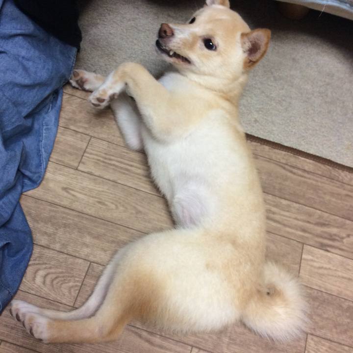 Fd57fd41 b04e 4bd5 9d48 c062694a03d8