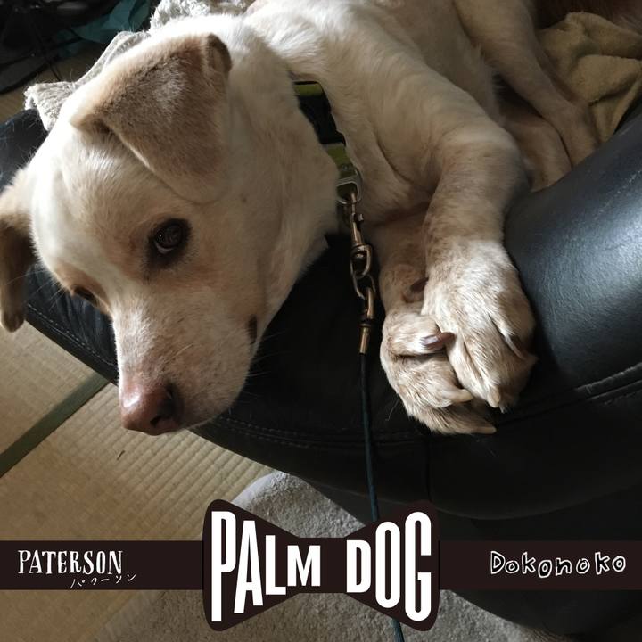 Fd587cc5 8ead 4917 862e a58d7330374b