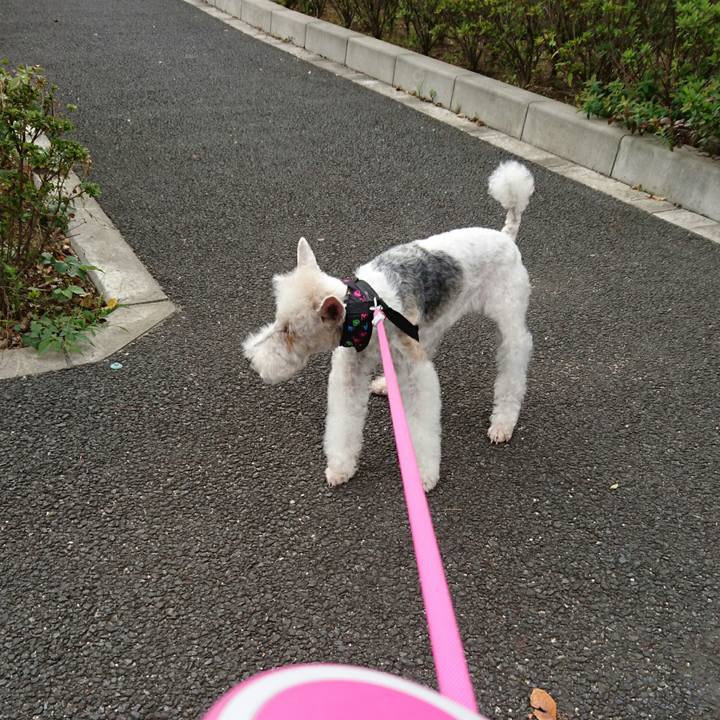 Fd58fa83 611a 43cf abc8 f731922a0268