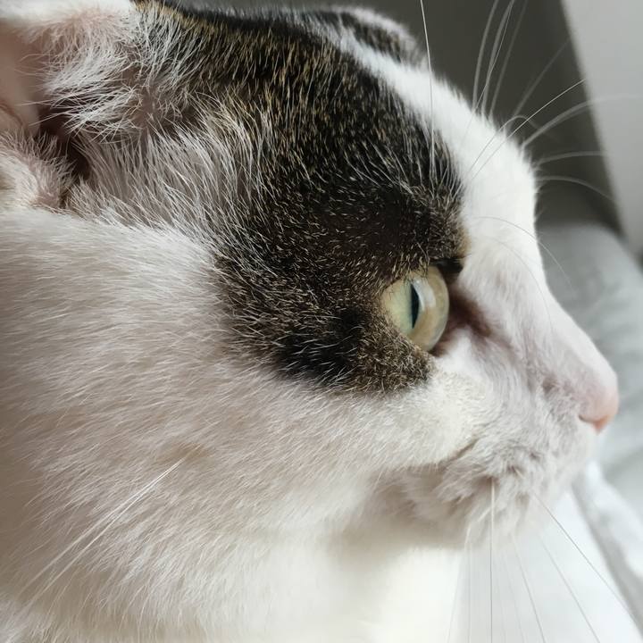 Fd593000 bede 4019 b9a9 ca14f7b6c478