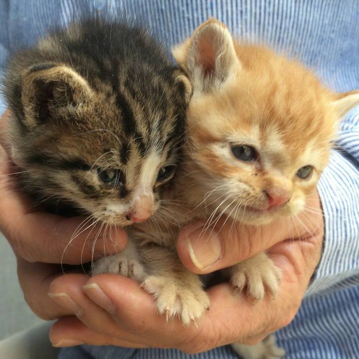 Fd594abd 6206 42e6 a6a2 d948f6668509