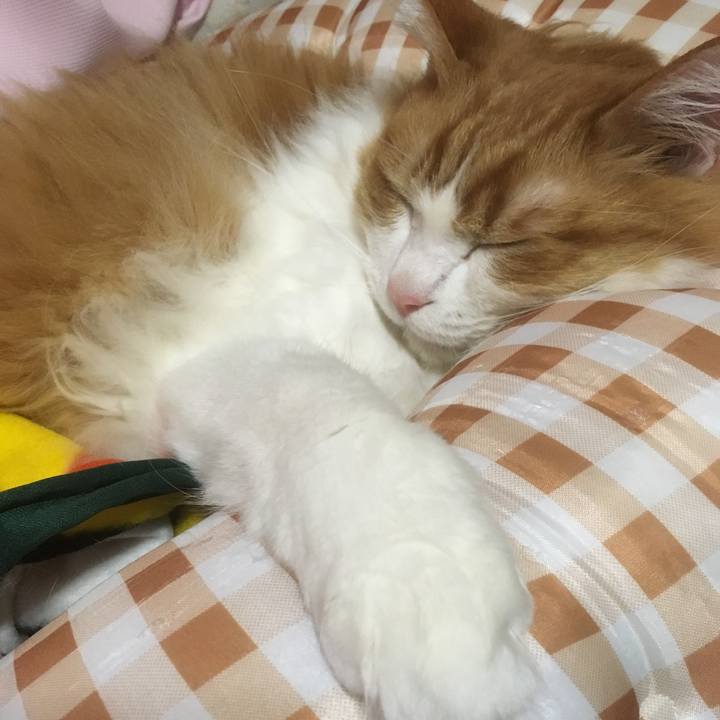 Fd596850 e3fb 4057 a0ea 2a405d77ffbc