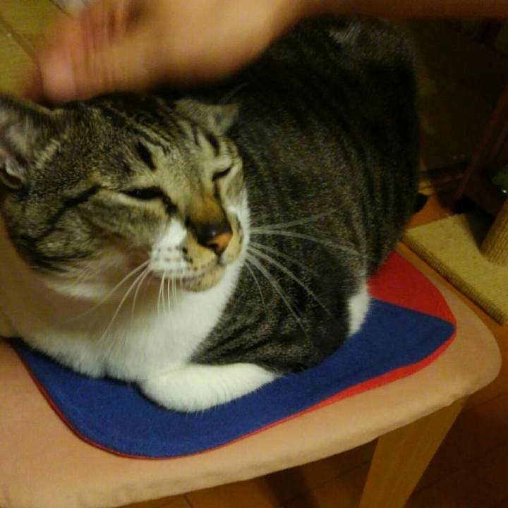 Fd596d33 77c0 4928 9486 b98f7db916b3