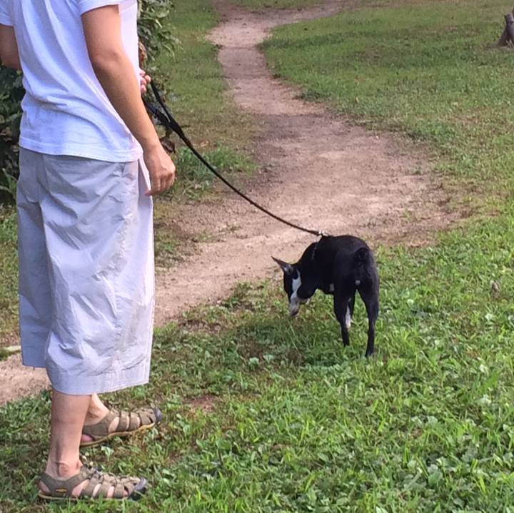 Fd59d8bf 835e 4ef1 bd29 c43ebc042f0e