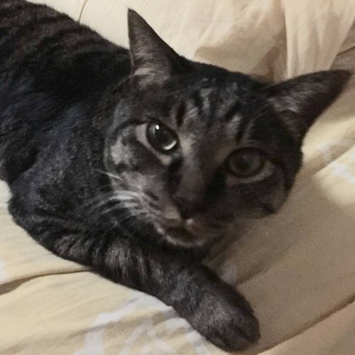 Fd5a1b22 1164 4031 9f9e ad36d5a90230