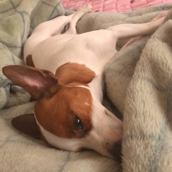 Fd5bcb6b c087 407a 8a7c 54af40c2138b