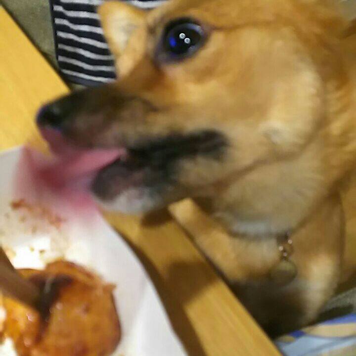 Fd5bcd9d 9ef9 4a1e 94a0 361f71b1d498