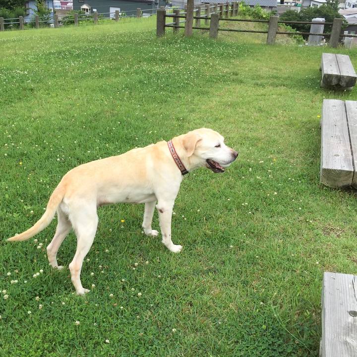 Fd5c4af0 9443 44e0 b2e8 117669b19860