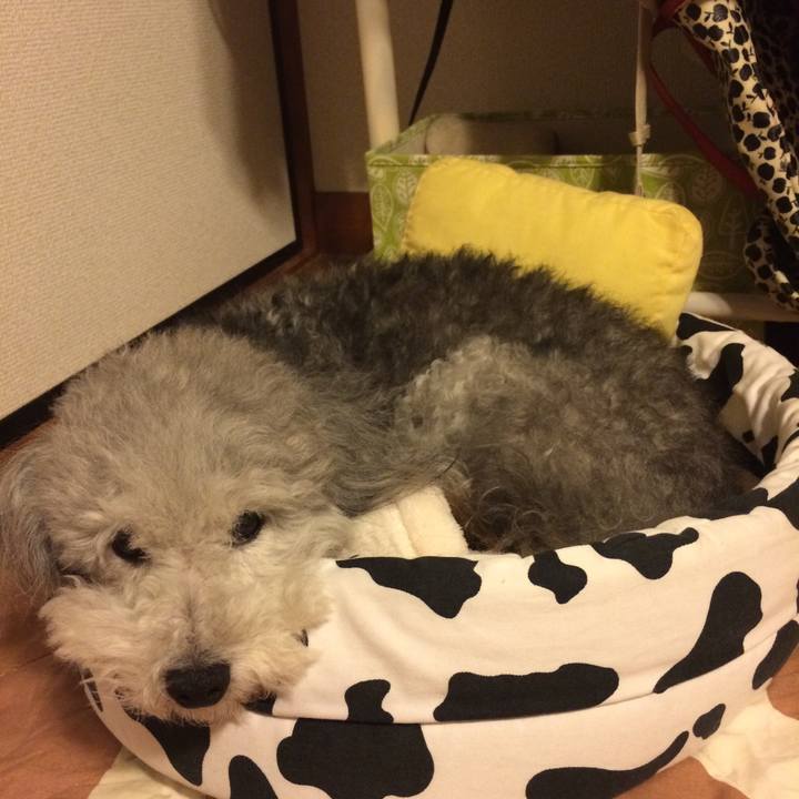 Fd5c54a9 1684 4d74 a80f 498384396533