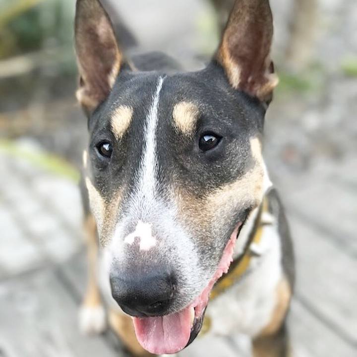 Fd5c9200 6a69 4593 b7f7 5967af1cfcc8