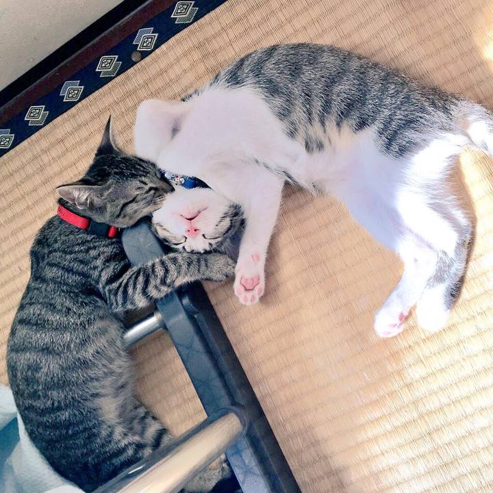 Fd5cac59 33bd 45ee 838d ec1e7d6056a1