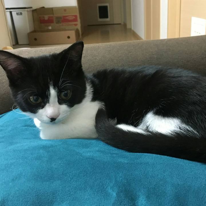 Fd5cf071 472c 4b83 b567 c81000fb0407