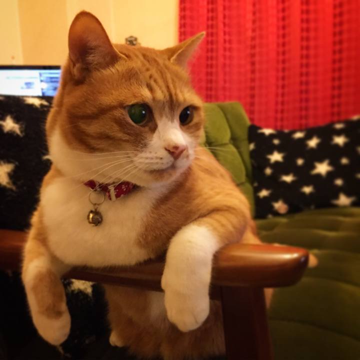 Fd5daf9c 5fe3 48fd 9b5b e6246ab4ae1d