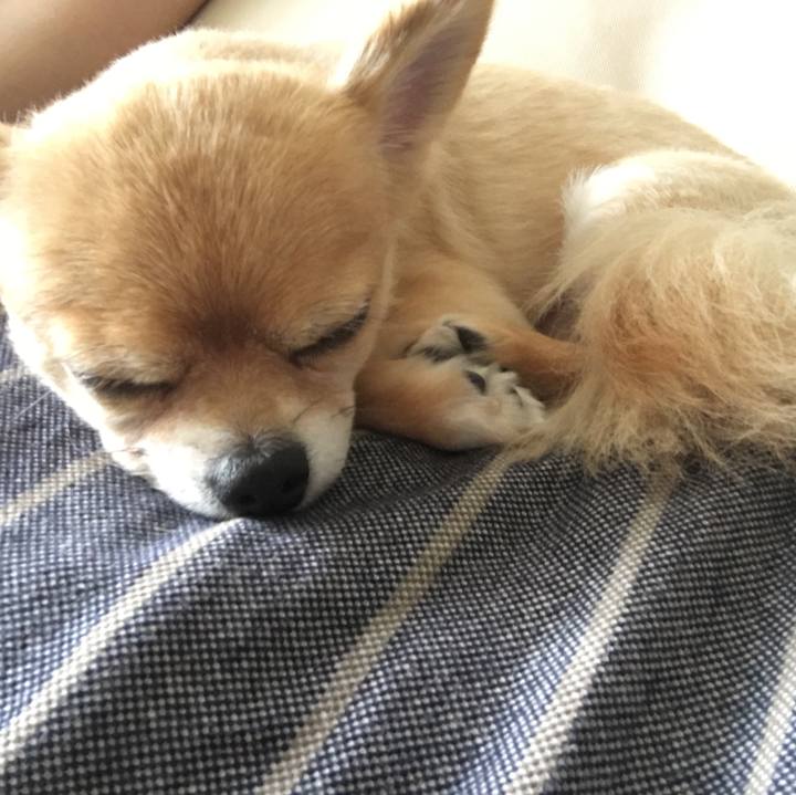 Fd5e2ee4 aa92 4aea ad6c 103735756243