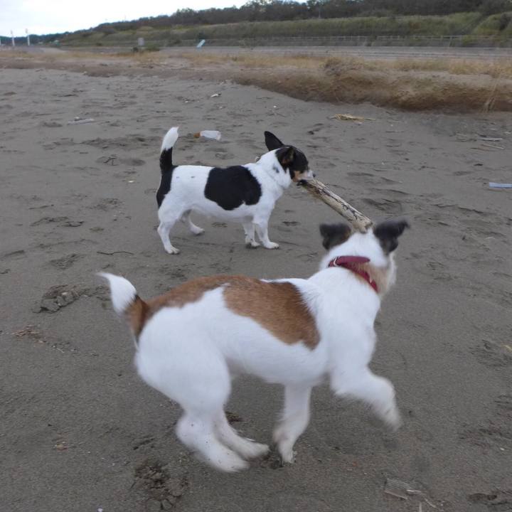 Fd5e9c53 890f 4a95 8a42 bded040965c3