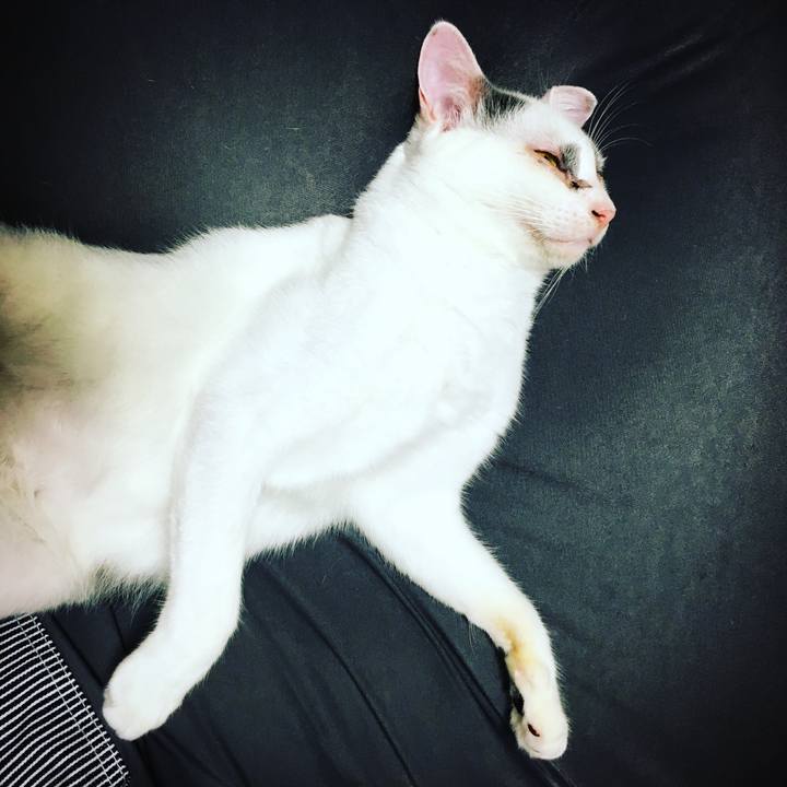 Fd5e9cdd 5d06 4ae0 8a1f 17a65b4f758c