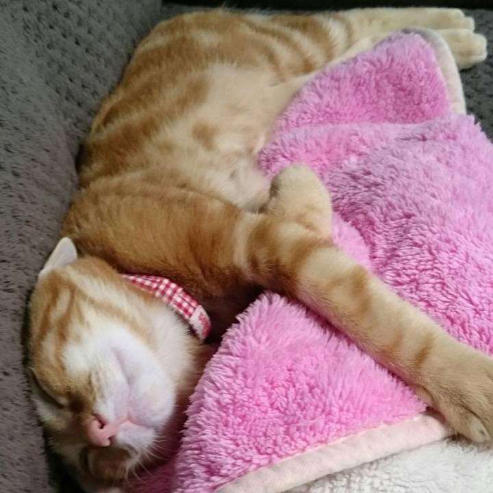 Fd5ee18c a9e8 4fb1 bd1e 7e5b6e485abf