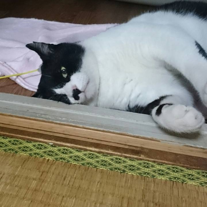 Fd5fc6fd 02c3 453f 831d 2c54bcf36bfb