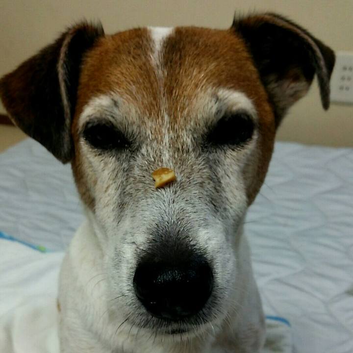 Fd60ad2c 98e5 4f6e a711 efffaba8c75c