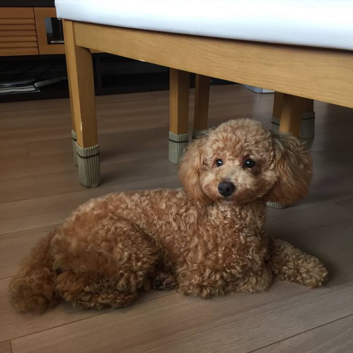 Fd60b215 7878 47f8 b84e cd4d26e8e7b4