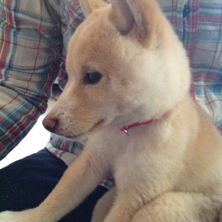 Fd60e73f d3cf 4fee 9ed1 485d9ef4113f