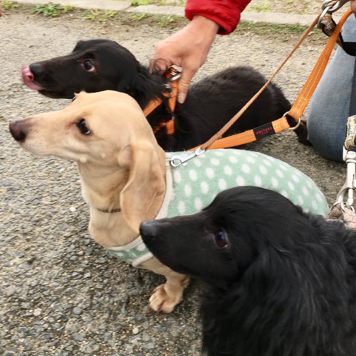 Fd6172f5 56f4 41ee bdb4 7d96478040be