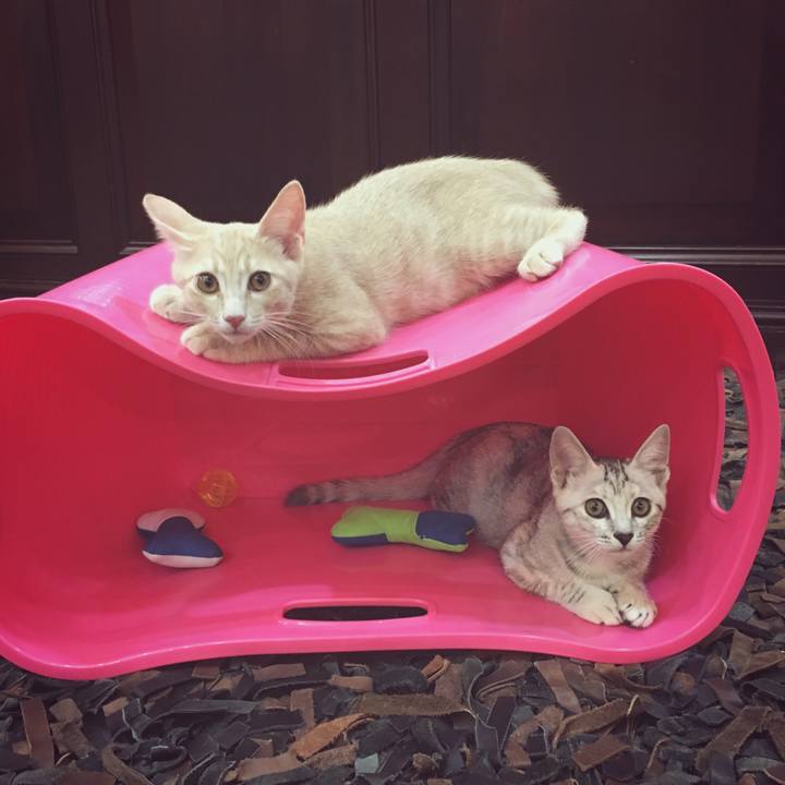 Fd6198c2 bdfe 4596 80c3 7b5a7e2c7b22