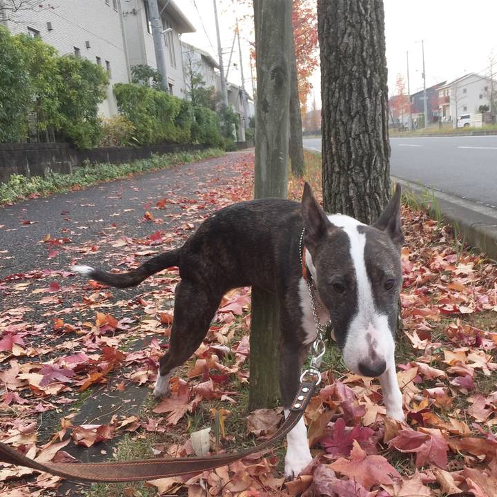 Fd6242ff 9686 45e4 86a7 2ca1477662ae