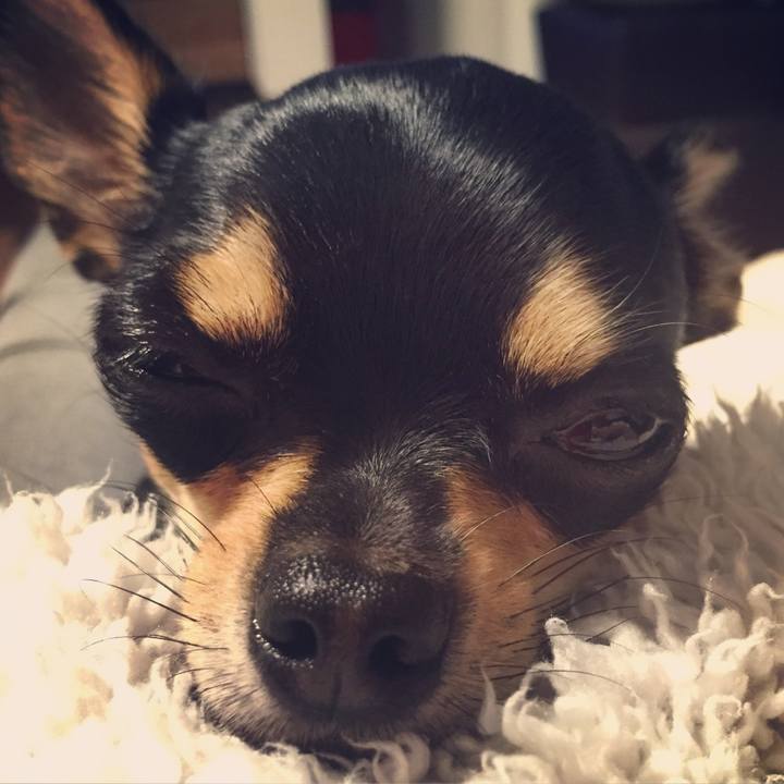 Fd6288aa 8b2e 4503 8a16 a767a230e33d