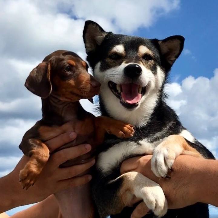 Fd62d6c3 4c0a 48ec b775 1cb4fbf110ff