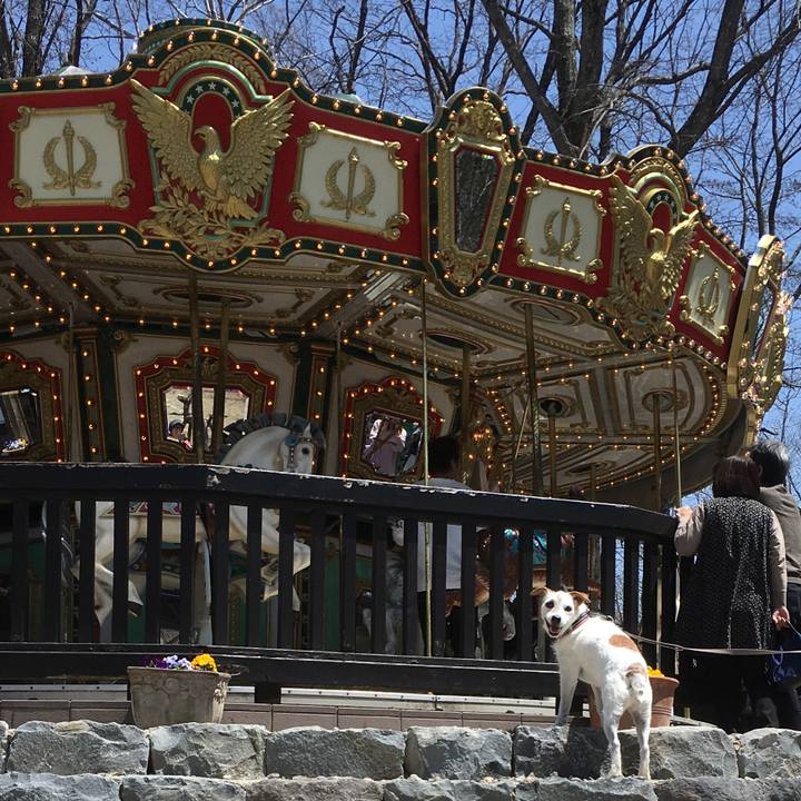 Fd62ec65 6415 4da6 8577 adf7f06ce2a4