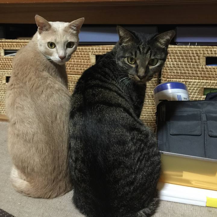 Fd62fb11 8883 4c25 834e 03acb7db64d2