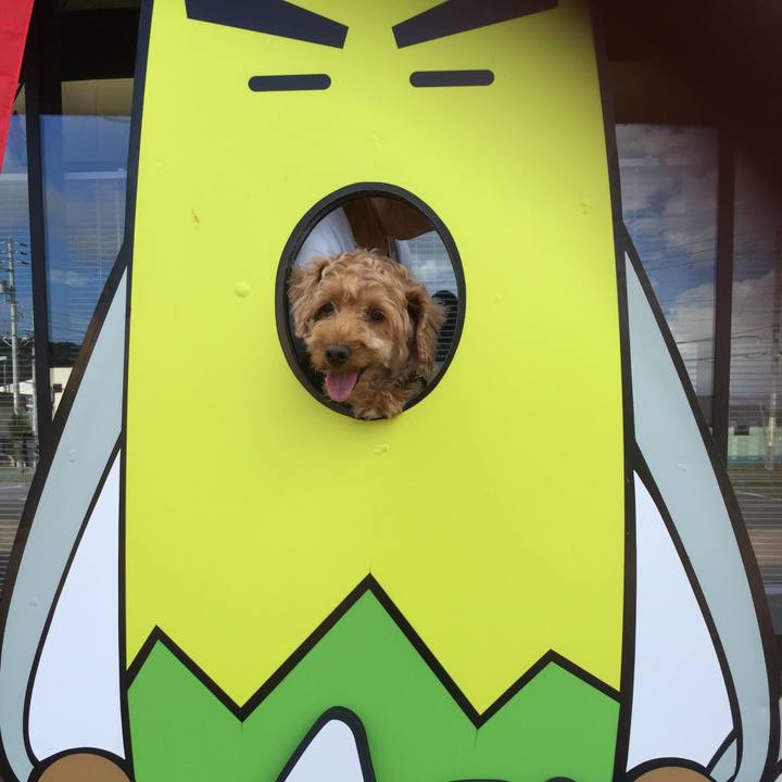 Fd6310e0 887c 4816 a6b1 31748eb59ac7