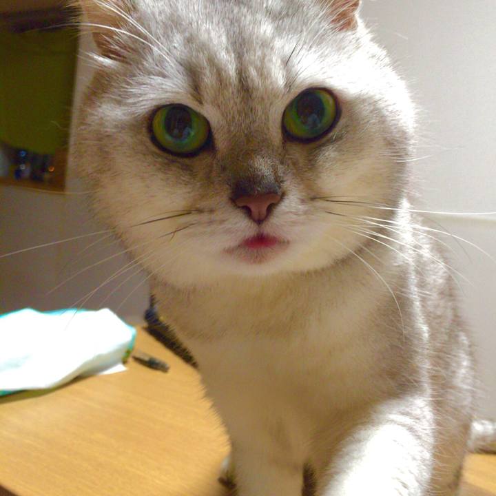 Fd632d43 d9bd 4347 8a1e ba4f5e952427