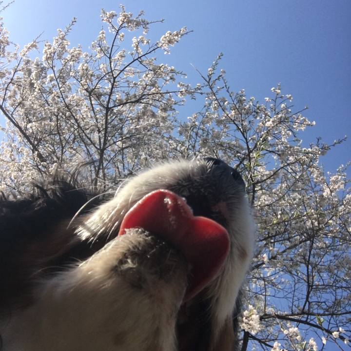 Fd63de29 9ab0 4952 893c 3cf59e984654