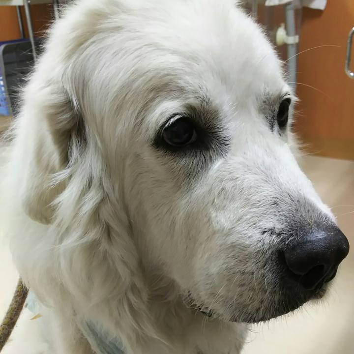 Fd641b69 e55f 4d19 a50a ee846a225f2e