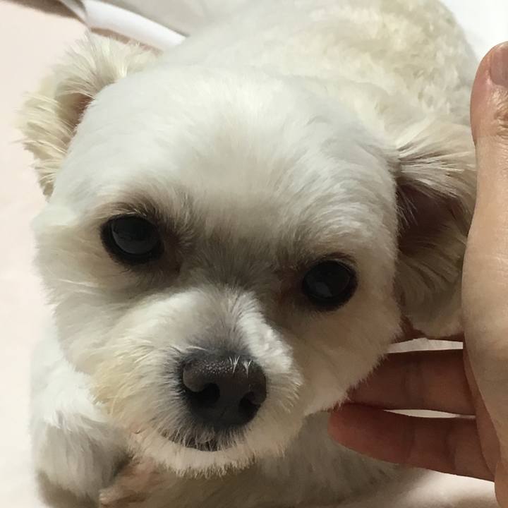 Fd645bbe 0c25 40c2 888d 223363c38c12