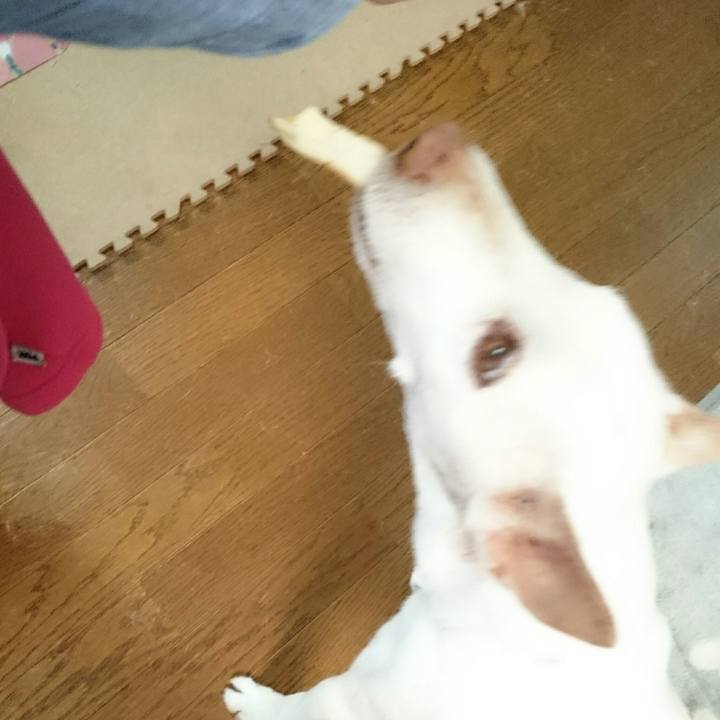 Fd647272 7317 445a 83d4 ff4f3d17356e