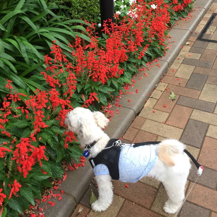 Fd64d23a e239 4ca7 846d fbcf97a2bd12