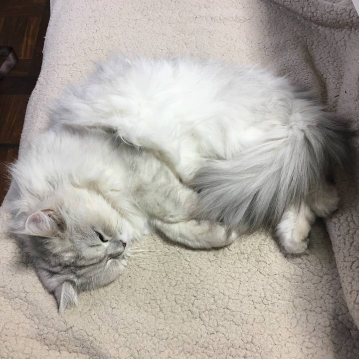 Fd655b6e de5c 492f 95c5 f1c4909be130